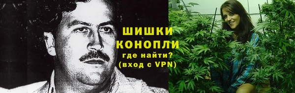 ГАЛЛЮЦИНОГЕННЫЕ ГРИБЫ Богородск